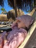 Siuvinėtos medvilnės skarelė su snapeliu (5 spalvos)