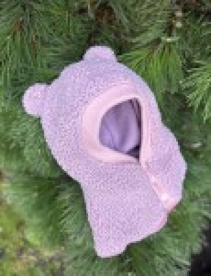 Susegamas žieminis teddy šalmukas su ausimis, 8 spalvos